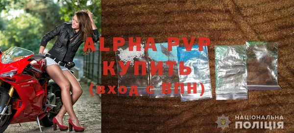 ГАЛЛЮЦИНОГЕННЫЕ ГРИБЫ Кукмор