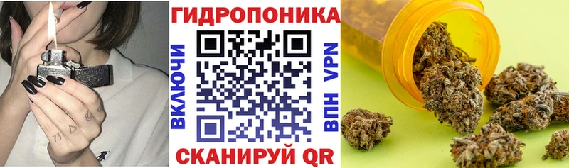 Бошки марихуана VHQ  Нерчинск 